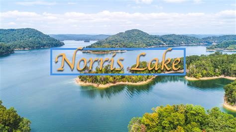 norris lake tennessee water level