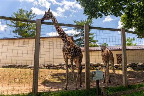 norristown zoo pennsylvania