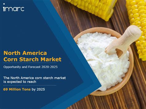 Corn Starch Market Report Trends & Forecasts 2017 to 2022 YouTube