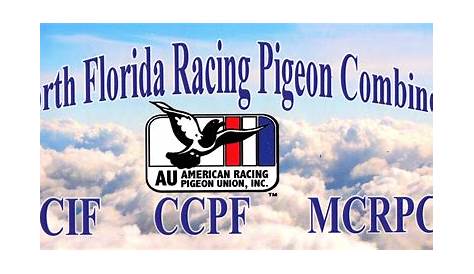 Racing – Grand Junction Racing Pigeon Club