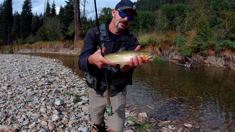 NF Coeur d'Alene / St. Joe River Idaho Fly Fishing Report YouTube