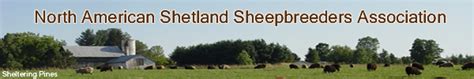 north american shetland sheep association
