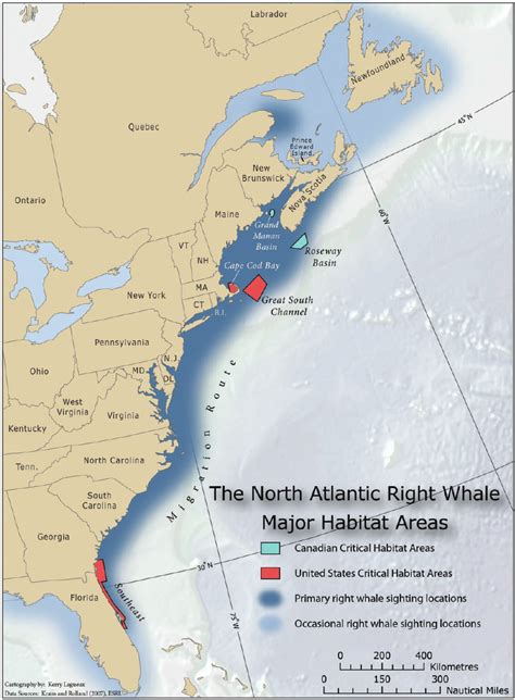 north atlantic right whale map