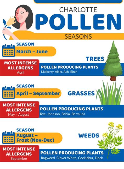 north carolina pollen season