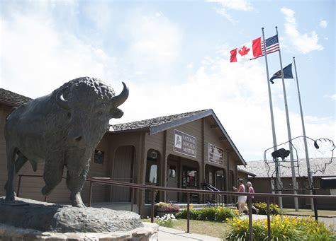 north dakota bison shop