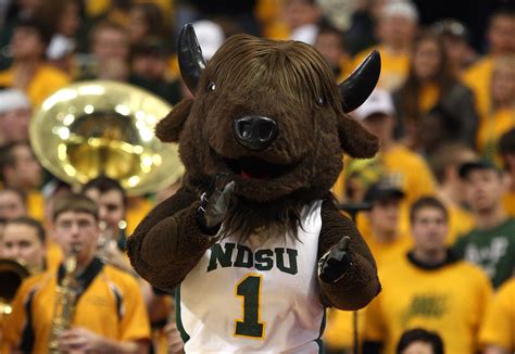 north dakota state university mascot