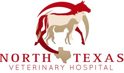 north texas veterinary hospital