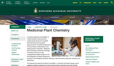 northern michigan university cannabis program