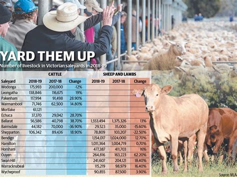 northwest livestock market report