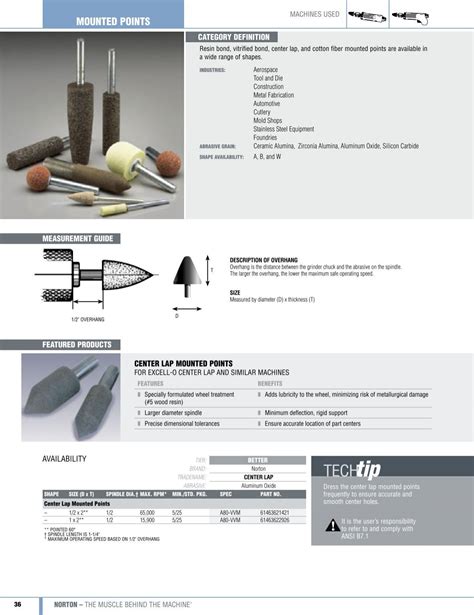 Norton Mounted Points Pdf