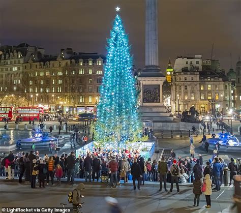 norway donates christmas tree to london