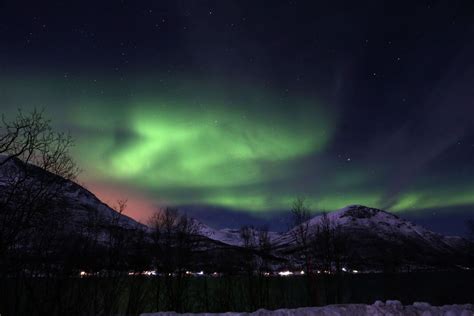 norway northern lights tour cheap