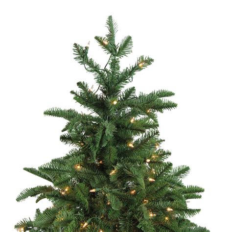 norway spruce potted christmas tree