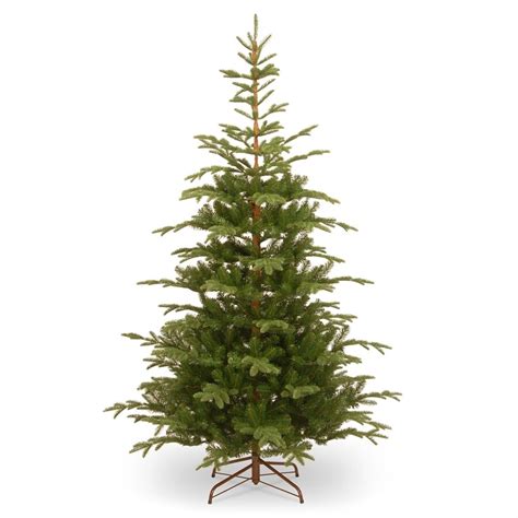 norway spruce trees for sale lowes
