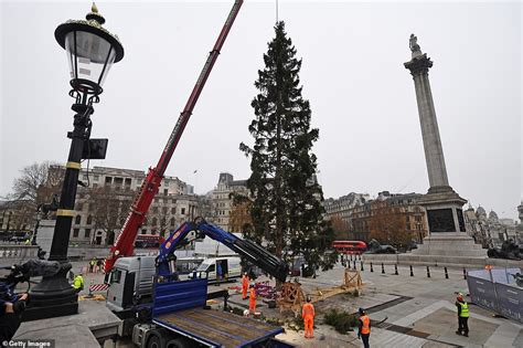 norway xmas tree london