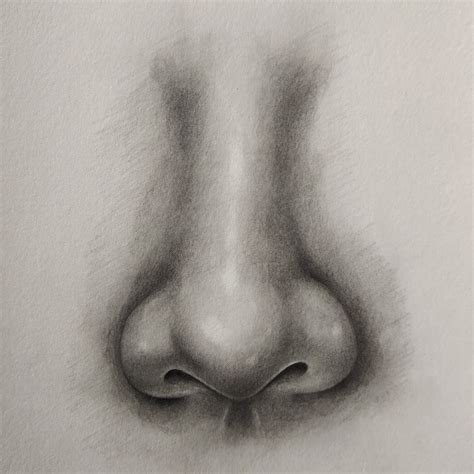 Nose