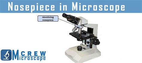 Nosepiece Microscope Function
