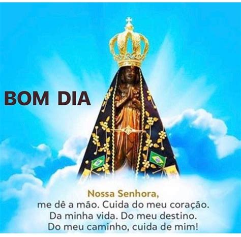 nossa senhora aparecida homenagem