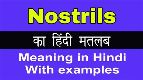 nostrils meaning in marathi