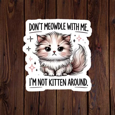 Not Kitten Around