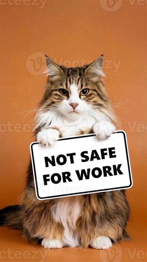 Photos Not Safe For Work 8 Update