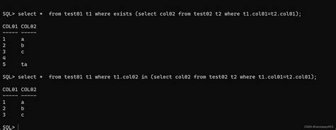 SQL NOT EXISTS Operator