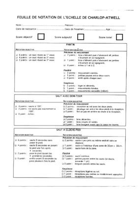 Exemple Lettre Chronologique Resumé De Carriere Militaire Exemple