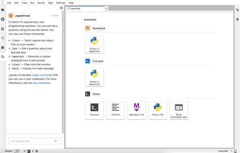 Notebook.ai Premium Code
