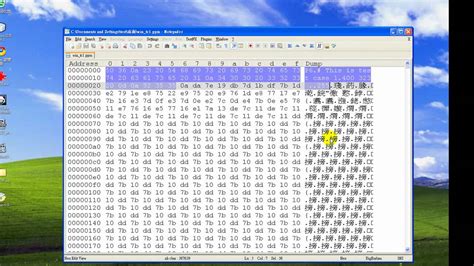 Notepad++ Hex Editor.dll 64 Bit