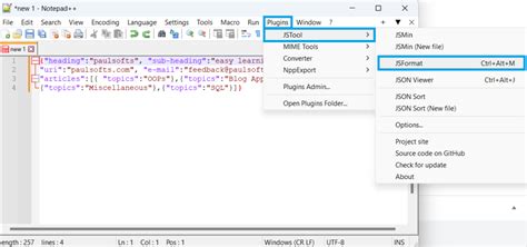 Notepad++ Json Format Error