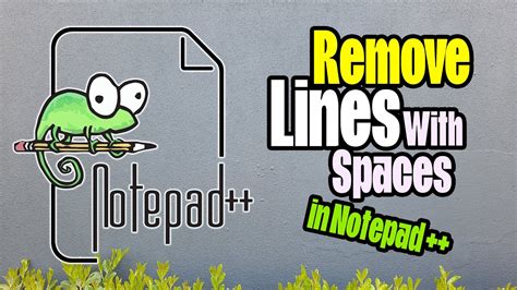 Notepad++ Pad Lines With Spaces