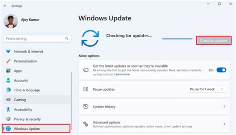 Notepad++ Update Check