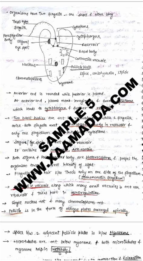notes pdf download for neet