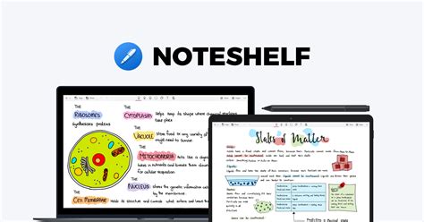 Noteshelf For Windows