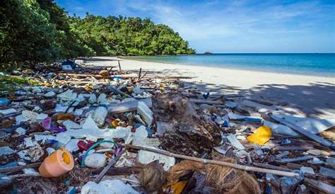 Blog de Damián Profeta: Claves21: 5 años de periodismo ambiental de