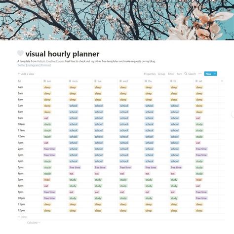 notion hourly schedule
