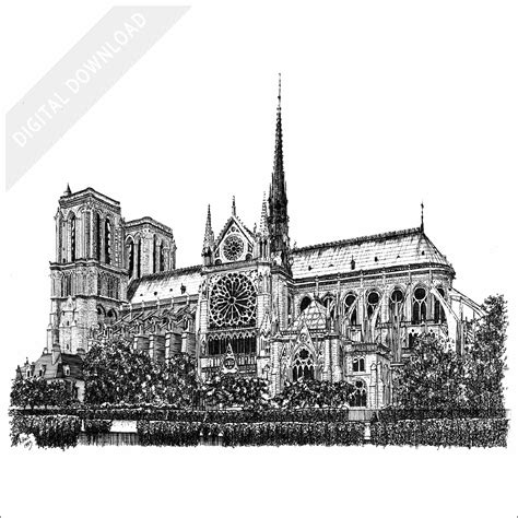 notre dame cathedral drawing