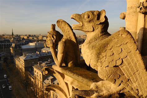 notre dame cathedral gargoyles history