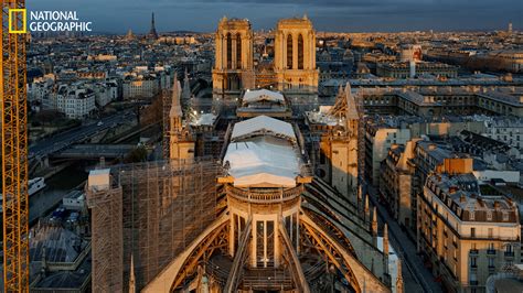 notre dame cathedral reconstruction photos