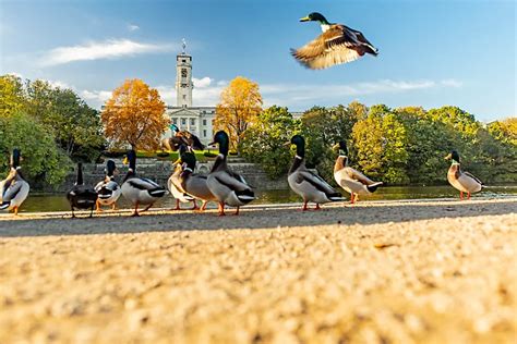 nottingham uni bursary