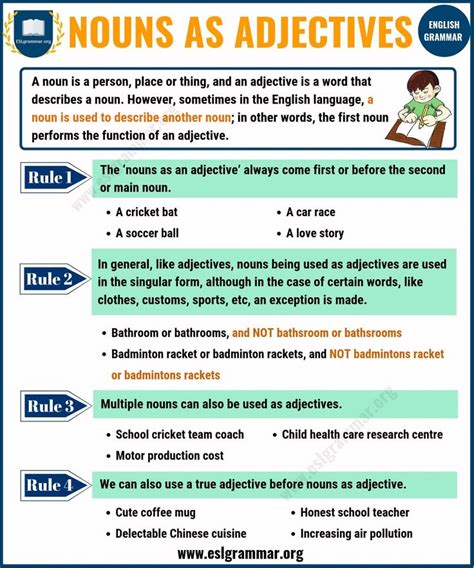 noun adjective agreement in sentences