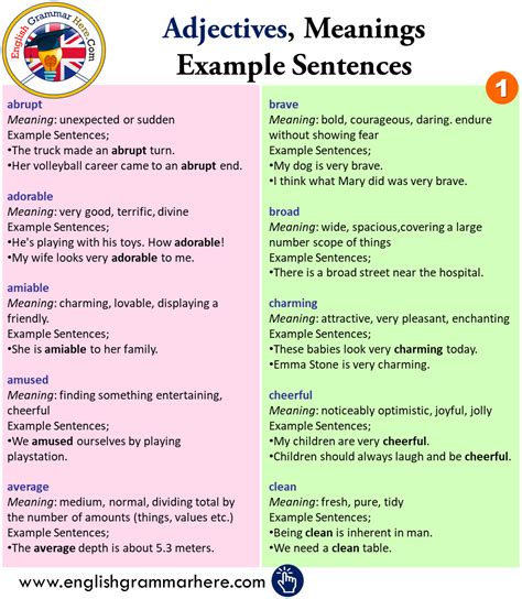 noun adjective examples sentences