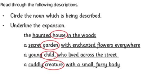 noun phrase examples with answers pdf class 8