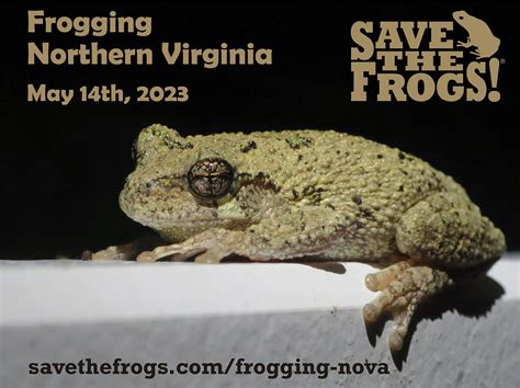Nova.is.frog Leaked Update Files & Photos 2026 #78f
