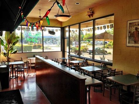 Discover the Best newbie Restaurants in Town: A Gourmet Guide for Food Adventurers