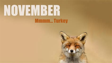 november animals