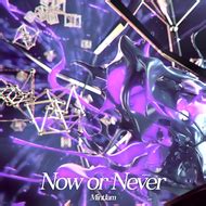 now or never maimai