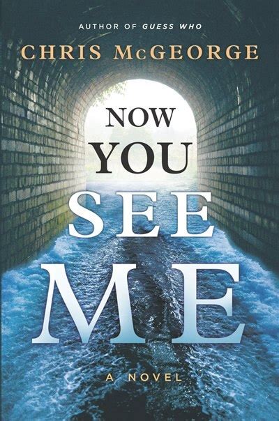 now you see me book