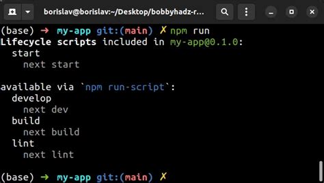 npm run script command