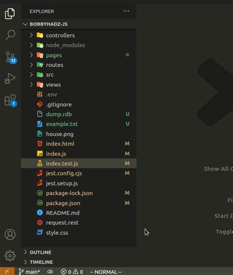 npm run vs run-script